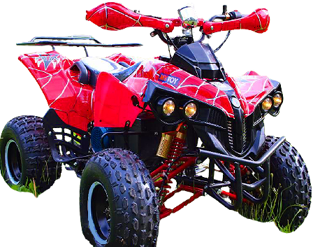 Электроквадроцикл Mytoy 1000D 1000W 48V20Ah Электроквадроцикл Mytoy 1000D 1000W 48V20Ah